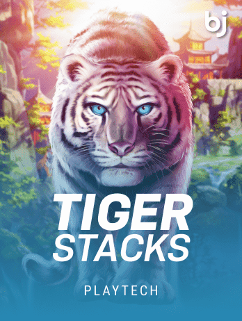 Tiger Stackspng game thumbnail